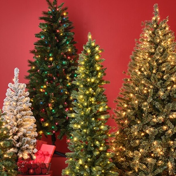 four lit Christmas trees on red background